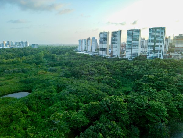 Top audioprothésistes à saint-nazaire : notre sélection 2025