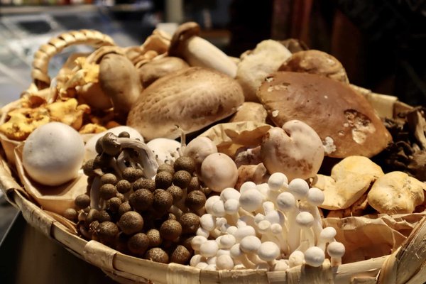 Quels critères prendre en compte pour sélectionner correctement son jeu de fléchettes ?